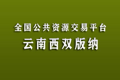 西双版纳公共资源交易电子服务系统