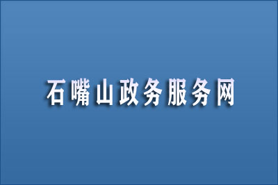 石嘴山市政务服务网